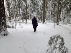 Ruth Dorrough; Bradford Tall Pines State Forest; snow; Bradford NH