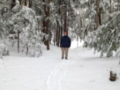 Dan Dorrough; Bradford Tall Pines State Forest; snow; Bradford NH