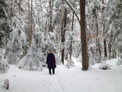 Ruth Dorrough; Bradford Tall Pines State Forest; snow; Bradford NH