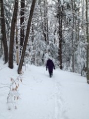 Ruth Dorrough; Bradford Tall Pines State Forest; snow; Bradford NH