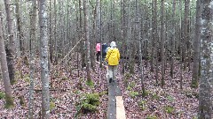 Ruth Bennett McDougal Dorrough; Katherine McDougal Wheeler McCandless; Bradford Bog, NH