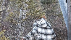 Ellery Kate Wheeler; Bradford Bog; Bradford, NH