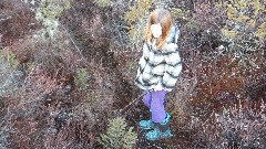 Ellery Kate Wheeler; Bradford Bog; Bradford, NH