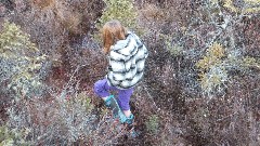 Ellery Kate Wheeler; Bradford Bog; Bradford, NH