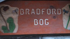 Bradford Bog, NH