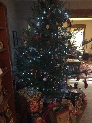Christmass Tree at Kat and Kurt s House