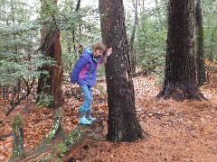 Ellery Kate Wheeler; Bradford Tall Pines; Bradford, NH