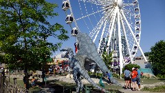 Ferris wheel; Niagara Falls