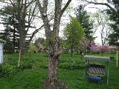 Backyard of 2118 South Union Road; Medway, OH