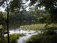 Trips Ohio