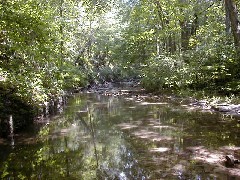 Yellow Springs Ohio