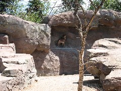 at the Columbus zoo