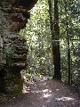 Trips Ohio