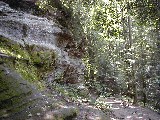 Trips Ohio