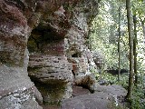 Trips Ohio