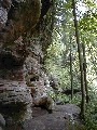 Trips Ohio
