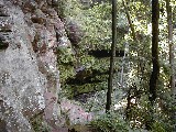Trips Ohio