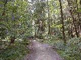 Trips Ohio