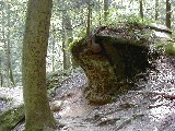 Trips Ohio