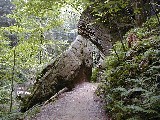 Trips Ohio