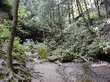 Trips Ohio