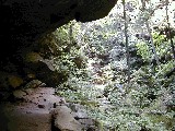 Trips Ohio