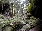 Trips Ohio