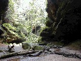 Trips Ohio