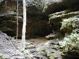 Trips Ohio