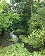 Stream on Union Road near the woods