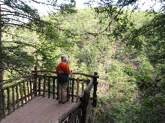 Ruth Bennett McDougal Dorrough; Bushkill Falls Milford PA Trips