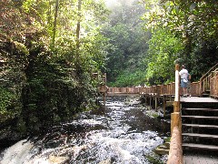 Bushkill Falls Milford PA Trips