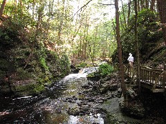 Bushkill Falls Milford PA Trips