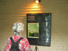 Ruth Dorrough; Raymondskill Falls Milford PA Trips