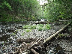 Raymondskill Falls Milford PA Trips