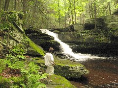 Ben Dorrough; Dwarfskill stream behind Ben s cabin