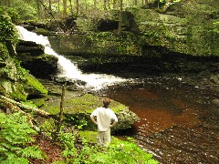 Ben Dorrough; Dwarfskill stream behind Ben s cabin