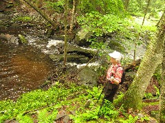 Ruth Dorrough; Dwarfskill stream behind Ben s cabin