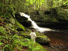 Ben Dorrough; Dwarfskill stream behind Ben s cabin