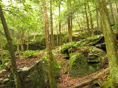 Dwarfskill stream behind Ben s cabin