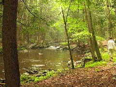 Ben Dorrough; Dwarfskill stream behind Ben s cabin