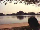 Washington DC Trips
