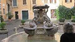 fountain; Rome; Piazzza Mattei