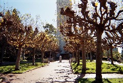 Berkeley University Tower