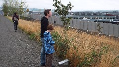 Ben Dorrough; Jacob Wheeler; Olympic Sculpture Park Seattle WA