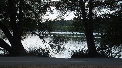 Green Lake Trail; Seattle, WA
