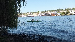 Portage Bay; Seattle, WA