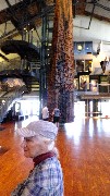 Ruth Bennett McDougal Dorrough; Museum of History & Industry; Seattle, WA