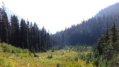 Maple Heather Trail; Cascades, WA