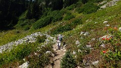 Ruth Bennett McDougal Dorrough; Maple Heather Trail; Cascades, WA